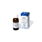 Carpinus Betulus Sarandrea 60ml