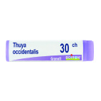 Thuya Occidentalis 30Ch Globuli Monodose Boiron