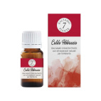 BALSAMO 7 PIANTE ESSENZA CALDO ABBRACCIO 15ml