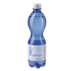 Pian Della Mussa Fonte Sauzè Qualeacqua Acqua Naturale 500ml