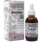 VACCINIUM VITIS IDAEA Alchimia Benoit 50ml