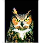 Gufo Essenze Di Animali Selvatici 30ml