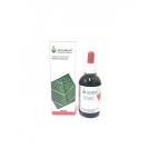 Arcangea Uncaria Soluzione Idroalcolica Integratore Alimentare 50ml