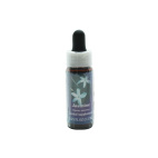 Jasmine Essenza Singola Californiana Natur 7,4ml