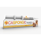 Caspongil® Pasta Shedir pharma® 30g