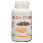 Boswellia Composta I Sani Bio 100 Capsule