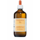 Adenosina 2% Robert O. Becker 250ml