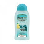 SPLEND'OR SHAMPOO PURIFICANTE 300ML.ARGILLA NATURALE ED ESTRATTI DI LIMONE