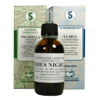 DAMIANA 100ML GTT