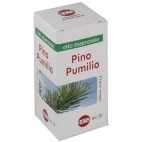 Pino Pumilio Olio Essenziale 20 Ml
