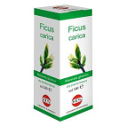 Ficus Carica Mg 100 Ml Gocce