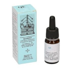 Quintessenza Qe13 Menta 10ml