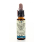 Fiori Di Bach 19 Larch 10 Ml Di Leo