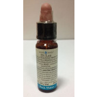Fiori Di Bach 27 Rock Water 10 Ml Di Leo