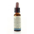 Fiori Di Bach 29 Star Of Bethlehem 10 Ml Di Leo