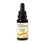 Sindrome Prem Flori Nutriva 20 Ml
