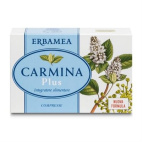 Carmina Plus 24 Compresse 19,2 G