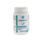 SYNERBIOL 60 CAPSULE