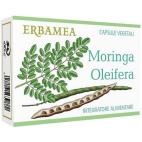 Moringa Oleifera 24 Capsule