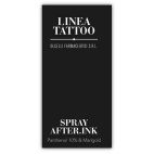 Spray After Ink 100 Ml