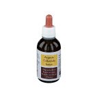 Argento Colloidale Ionico 40ppm Certificato Spray Con Contagocce + Erogatore Naso + Erogatore Gola + Erogatore Pelle