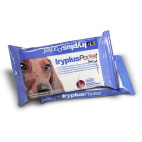 Iryplus Pocket Salviettine 15 Pezzi