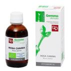 Rosa Canina Macerato Glicerinato Bio 50 Ml