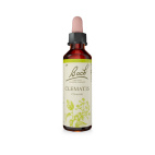 Bach 9 Clematis Gocce 20ml