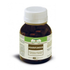 Agarifungus 60 Capsule