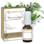 Aglio Olio Essenziale Vivificato 5ml Giorgini