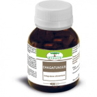 Chagafungus 60 Capsule
