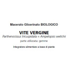 DISBIO GTT 50ML &quot;FARMAFIT&quot;