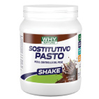 WHYNATURE SOSTITUT PASTO CACAO