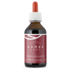 GAMBE SANE C O GTT 100ML&lt;