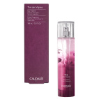 THE&#039; DES VIGNES ACQ FRESC100ML