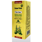 FICUS CARICA 100ML