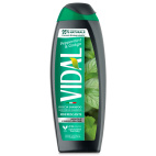 VIDAL NEW D/S MINT &amp; GINKGO 250ML