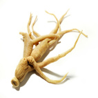Ginseng radice intera da 100 g