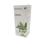 Lampone 1 DH Gemme 50ml