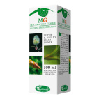 Betulla Verrucosa 100ml Macerato di Gemme