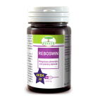 REBOSWIN 60 COMPRESSE