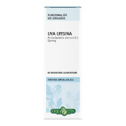 Uva Ursina Foglie Soluzione Idroalcolica 50ml Erbavita