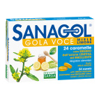 Sanagol Gola Voce Miele Limone 24 Caramelle