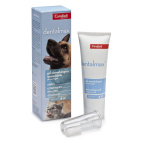 Dentalmax Gel Stomatologico 50ml
