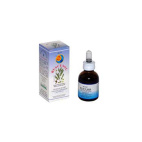 RUSCUSOL Int.Liq.50ml