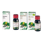 Equiseto 12 Tintura Madre 50ml