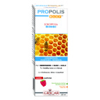 PROPOLI SCIR.BB 200ML &quot;GRICAR