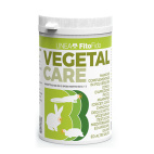 VEGETAL CARE POLVERE 150G