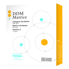 Ddm Matrice 14bust