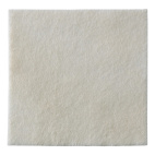 BIATAIN Alginate 10x10x10 3710